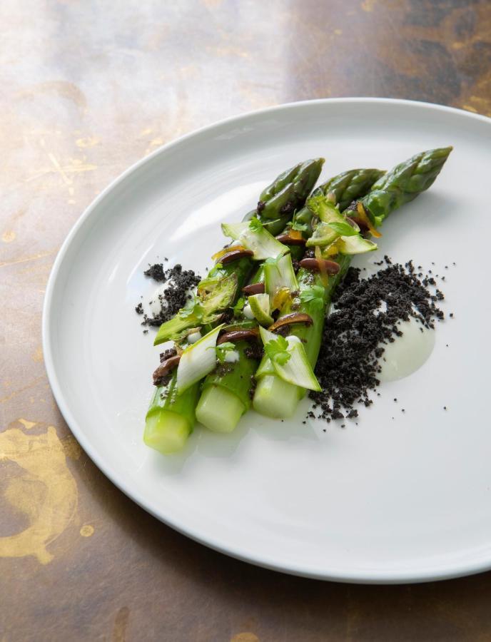 Hotel De Tourrel, Saint Remy De Provence, A Member Of Design Hotels エクステリア 写真